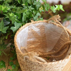 Plantenhanger mand 02