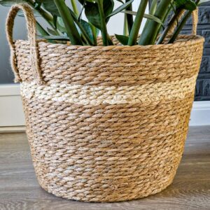 Planten mand Hengsels Naturel 01
