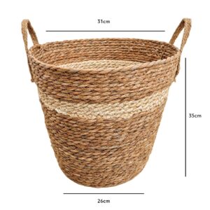 Planten mand Hengsels Naturel 04