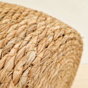 Planten mand Hengsels Naturel 05