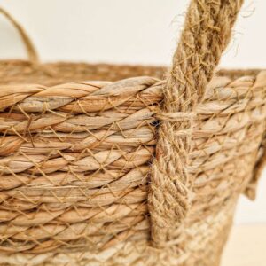 Planten mand Hengsels Naturel 06