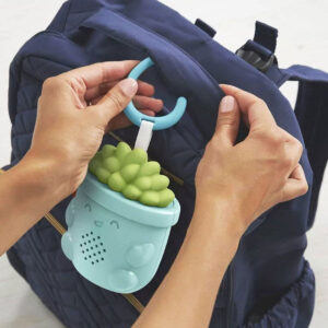 Fisher Price Soothe & Go Succulent Kinderwagen baby speelgoed muziek speeltje Vetplant 20x10x8cm 03