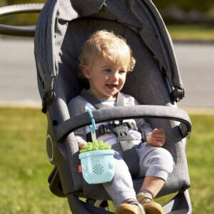 Fisher Price Soothe & Go Succulent Kinderwagen baby speelgoed muziek speeltje Vetplant 20x10x8cm 04