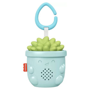 Fisher Price Soothe & Go Succulent Kinderwagen baby speelgoed muziek speeltje Vetplant 20x10x8cm 06