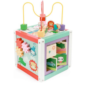 Fisher Price Activiteiten Kubus Hout 02