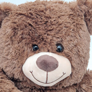 XL Donkerbruin Knuffel Beer Teddybeer 100cm Knuffels Pluche Beer 50cm Hoge kwaliteit Knuffeldier Teddybear Groot Knuffelbeer 02