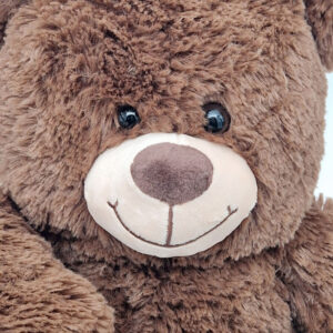 XL Donkerbruin Knuffel Beer Teddybeer 100cm Knuffels Pluche Beer 50cm Hoge kwaliteit Knuffeldier Teddybear Groot Knuffelbeer 07