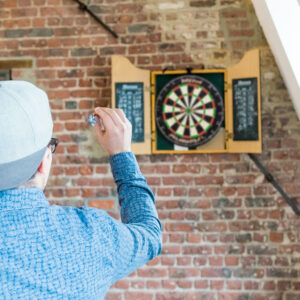 Dartboard Pro Jolly 04