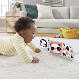 Fisher Price Fold & Play Activity Panel knisperboekje 11