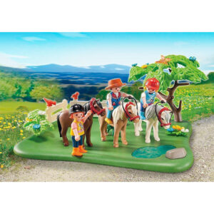 Jubileum Compact Set Ponyweide met hooiwagen 03