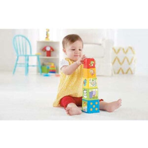 Fisher Price Stapel en leer blokken 05